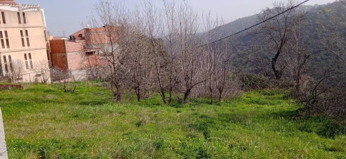 Vente Terrain Tizi Ouzou Beni aissi