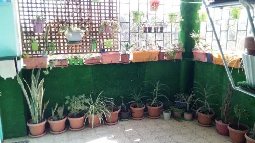 Vente Appartement F3 Sidi Bel Abbès Ben badis