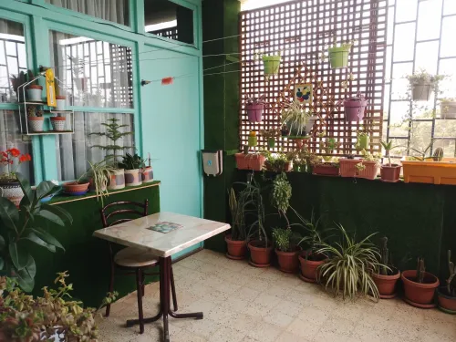 Vente Appartement F3 Sidi Bel Abbès Ben badis