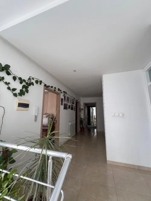 Vente Local Alger Cheraga
