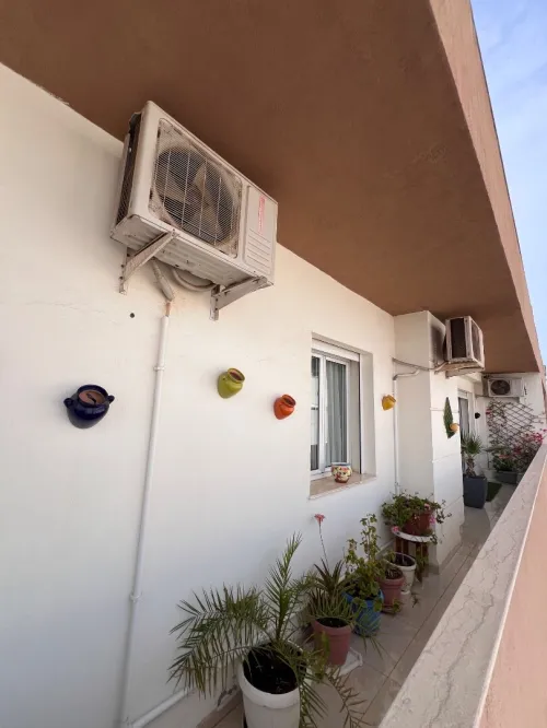 Vente Local Alger Cheraga