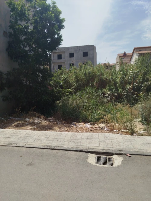 Vente Terrain Blida Boufarik