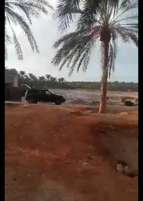 Vente Terrain Biskra Lioua