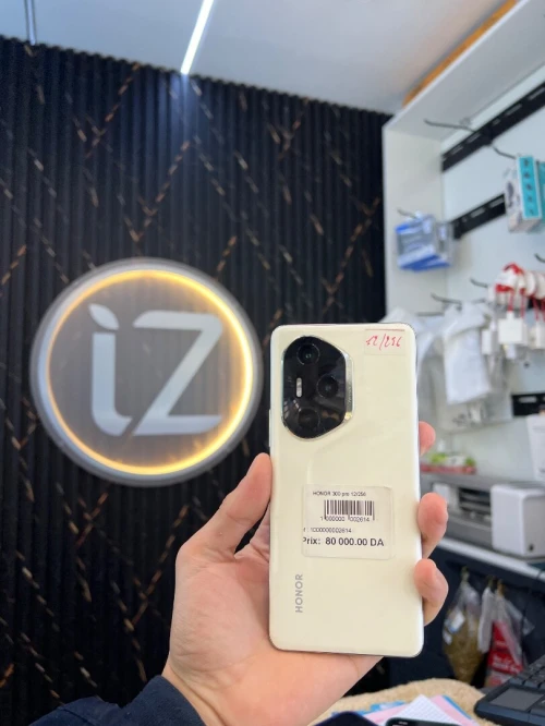 Honor 300 Pro