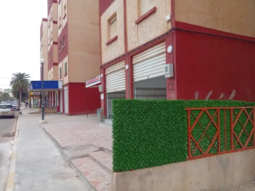 Location Local Mostaganem Sidi lakhdaara