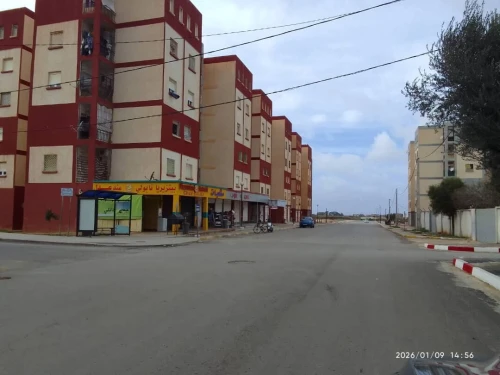 Location Local Mostaganem Sidi lakhdaara