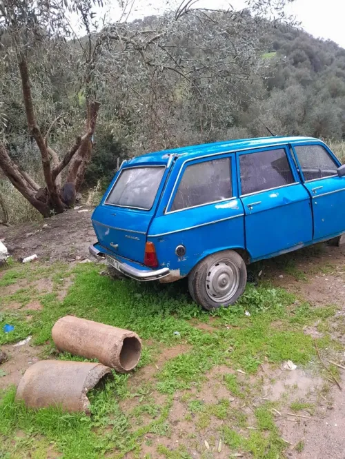 Peugeot 204 1974 