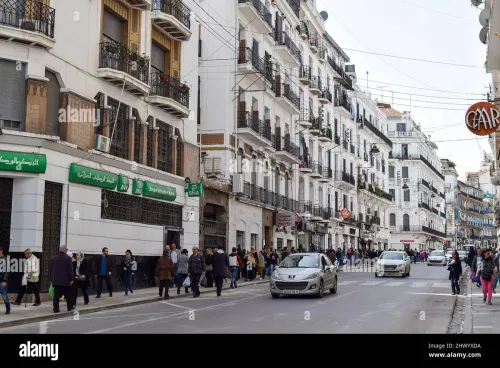 Vente Local Alger Alger centre