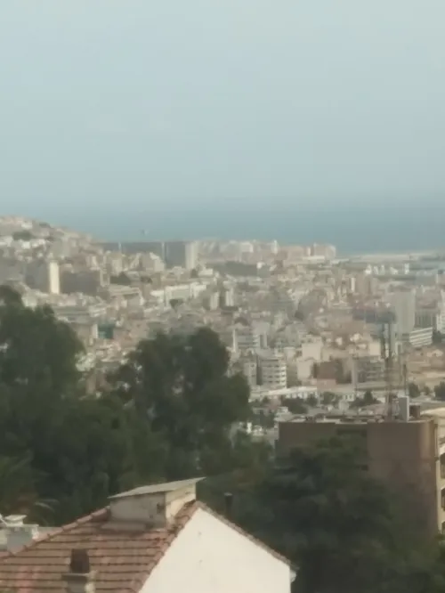 Location Appartement F3 Alger Alger centre 3