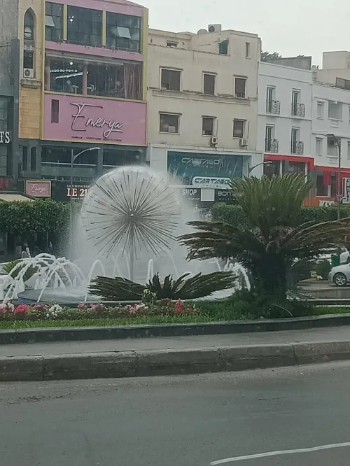 Location Local Alger Hydra