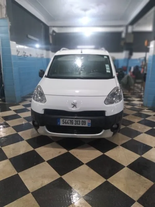 Peugeot Partner 2013 Partner