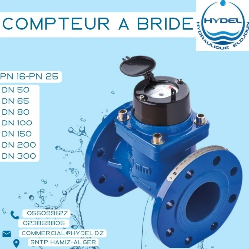 Compteur d'eau à bride (Compteur à eau WOLTMAN) DN50 jusqu'à DN300 PN16 et PN25