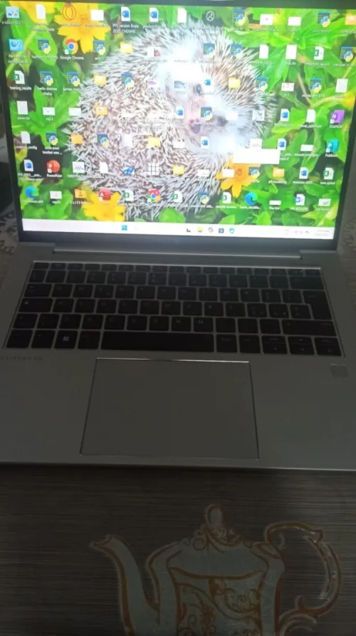 HP elitebock 845 G10 AMD 16/256 SSD
