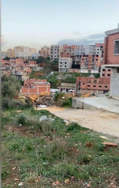 Vente Terrain Alger Saoula