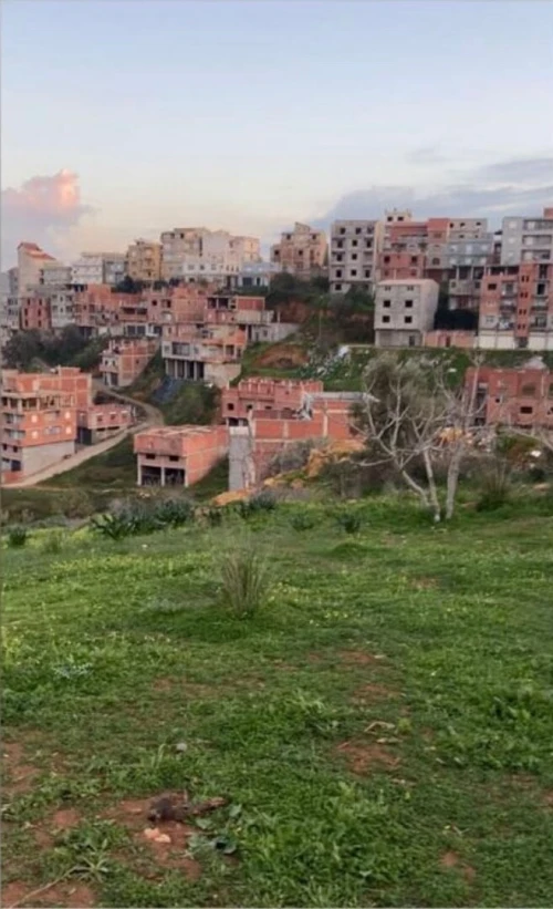 Vente Terrain Alger Saoula