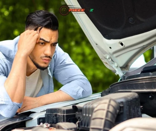 Dz بياسة مفقودة