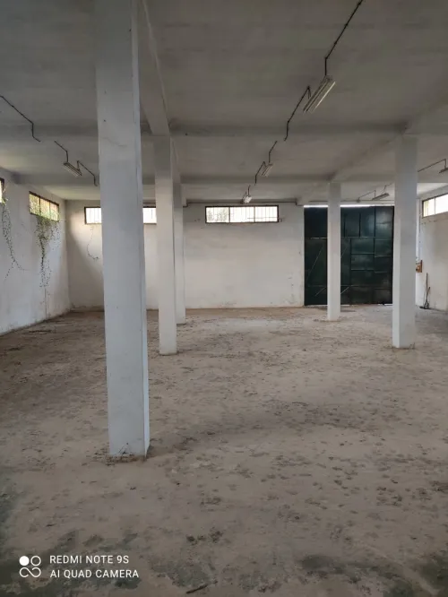 Location Hangar Blida Larbaa