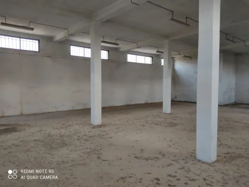 Location Hangar Blida Larbaa