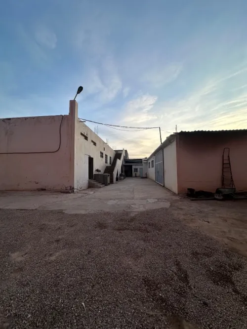 Location Hangar - Usine Tlemcen Hennaya