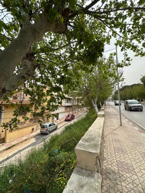 Vente Villa Tlemcen Tlemcen