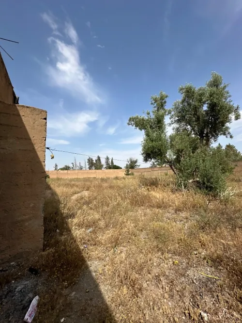 Vente Terrain Tlemcen Tlemcen