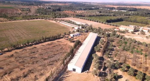 Vente Terrain Agricole Tlemcen Hennaya