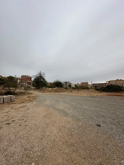 Vente Terrain Tlemcen Tlemcen