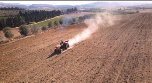 Vente Terrain Agricole Tlemcen Hennaya