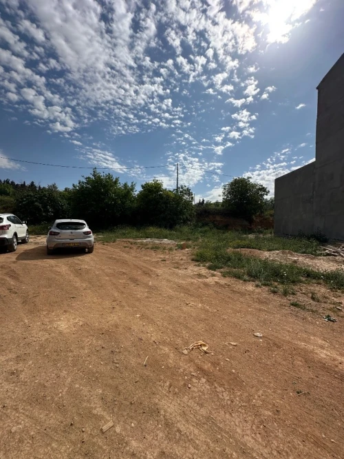 Vente Terrain Tlemcen Tlemcen