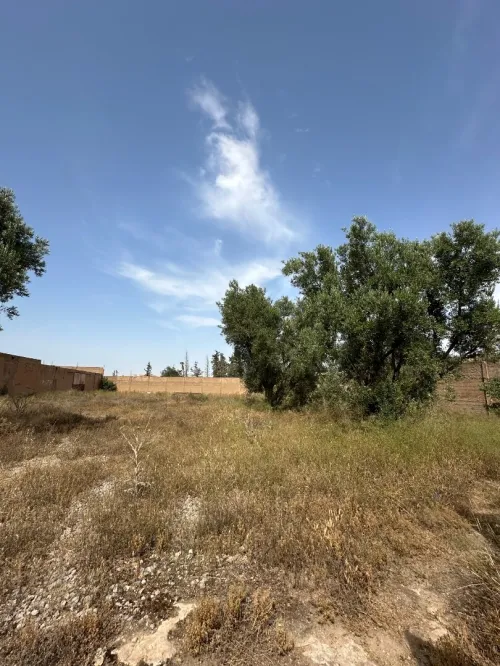 Vente Terrain Tlemcen Tlemcen