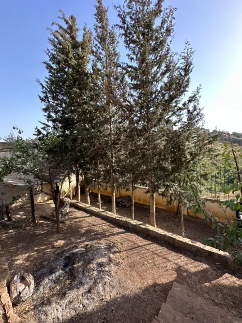 Vente Villa Alger Birkhadem
