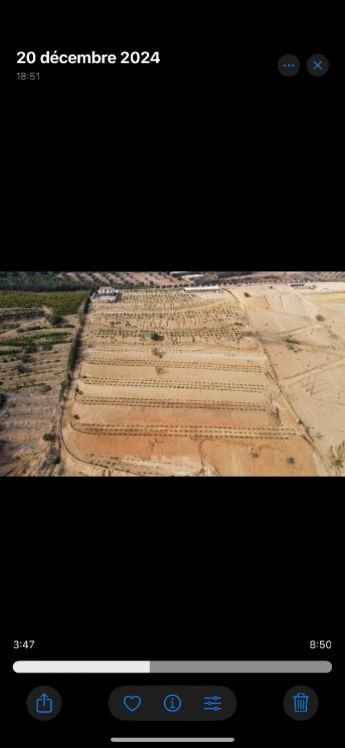 Vente Terrain Agricole Tlemcen Tlemcen