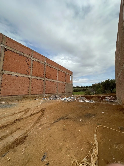 Vente Terrain Tlemcen Mansourah