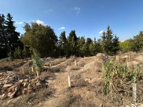 Vente Terrain Tlemcen Mansourah