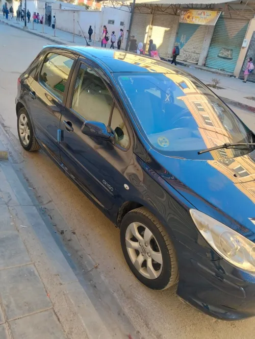 Peugeot 307 2006 Oxygo