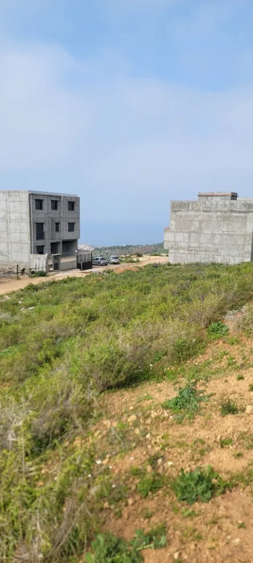 Vente Terrain Tipaza Cherchell