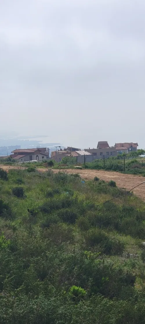 Vente Terrain Tipaza Cherchell