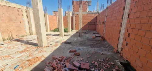 Vente Carcasse Alger Les eucalyptus