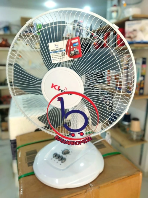 Ventilateur Electrique