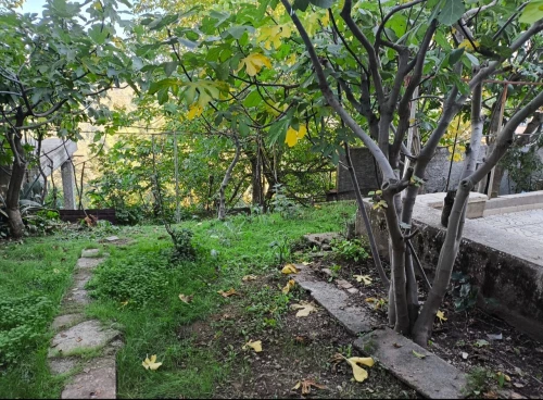Vente Villa Tizi Ouzou Ain el hammam