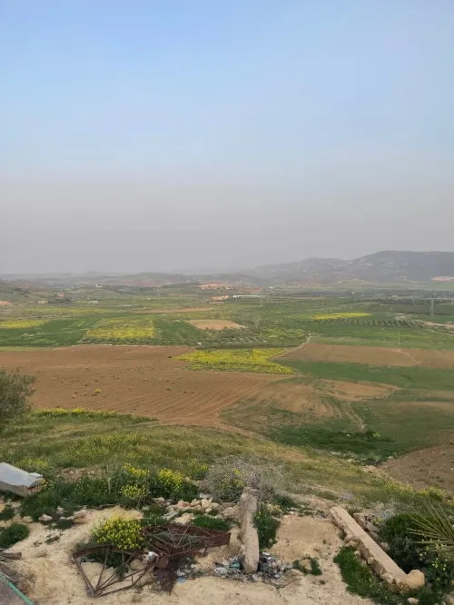 Vente Terrain Agricole Aïn Témouchent Oulhaca el gheraba
