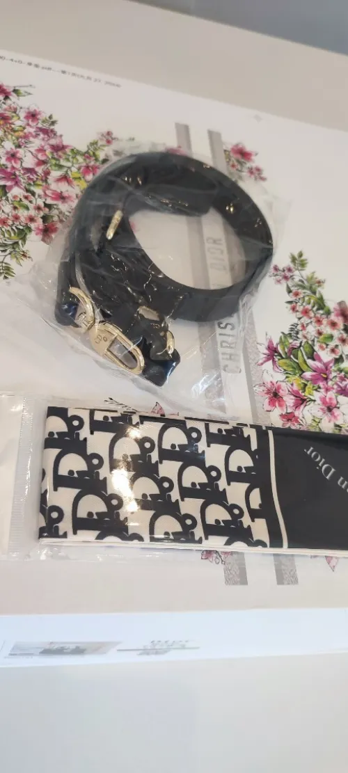 Sac à main LADY DIOR 