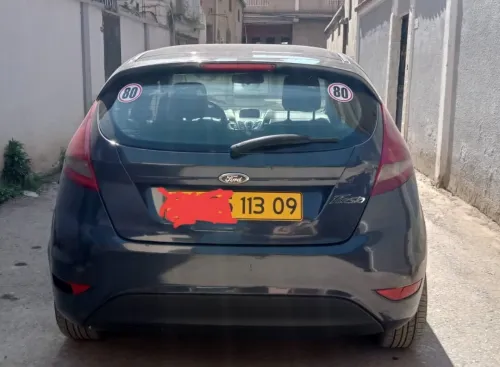 Ford Fiesta 2013 Fiesta