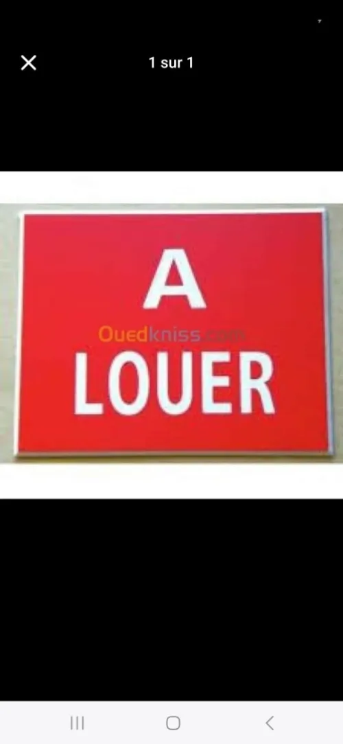 Location Local Alger Douera