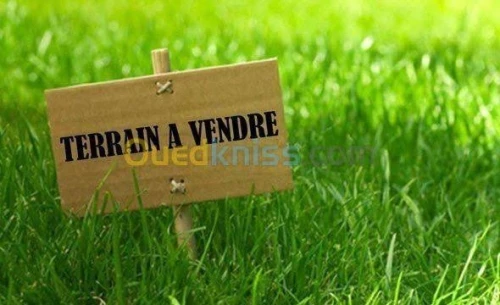 Vente Terrain Mila Oued seguen