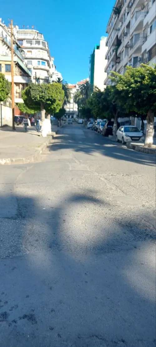 Vente Local Alger Alger centre