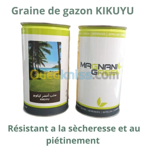 Graine de Gazon KIKUYU 