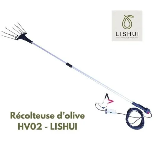 Récolteuse d'olive