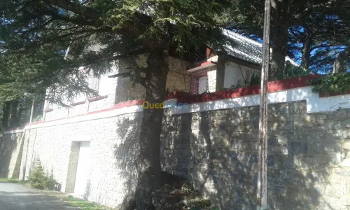 Location Villa Blida Chrea