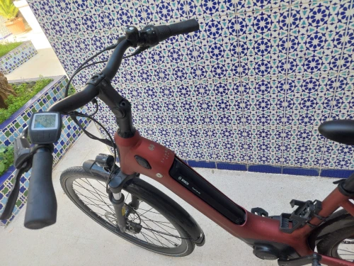Velo electrique winora n8 trial